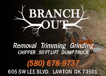 Branch_out 300x250