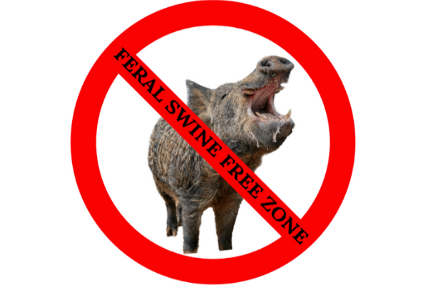 Feral Swine Free Zone 