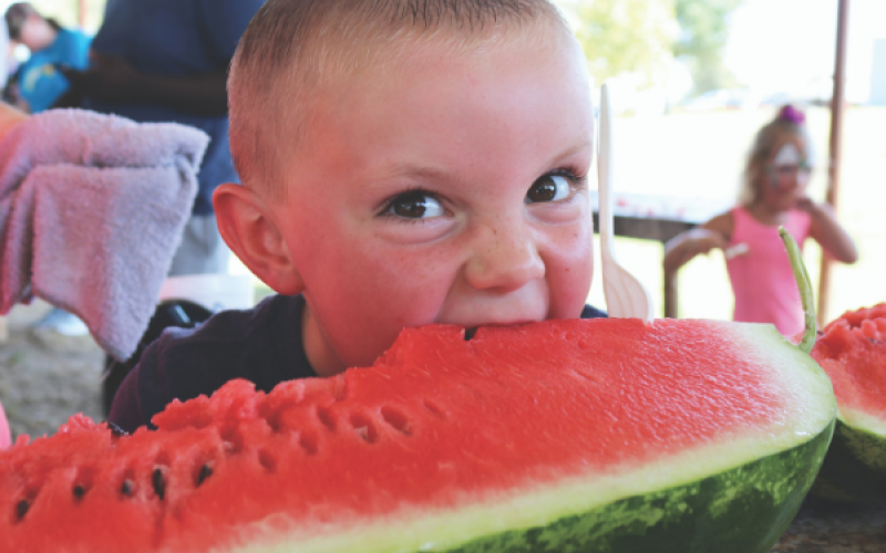 Logan Arbgast, 4, Mustang             Chronicle photo by Lisa Carroll