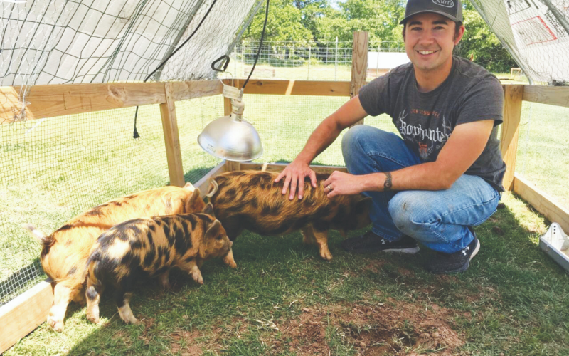 "Hoggy Parton" soaks up a bit of attention as Ray Pierce, owner of Pierce pastured-raised farm. Farms, squats down to pet the newest addition to his growing pastured-raised farm.