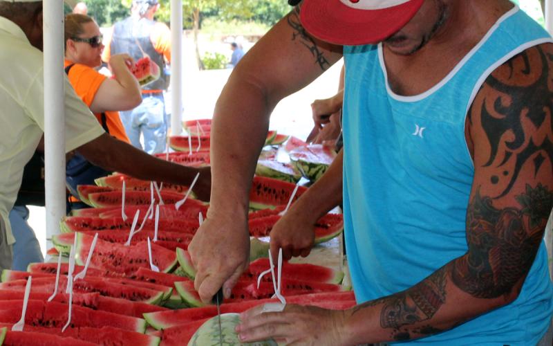 A volunteer cuts through a locally grown watermelon at the 2016 Rush Springs Watermelon Festival. Hundreds of pounds of watermelon are consumed under the awnings at Jeff Davis Park. HMG file photo