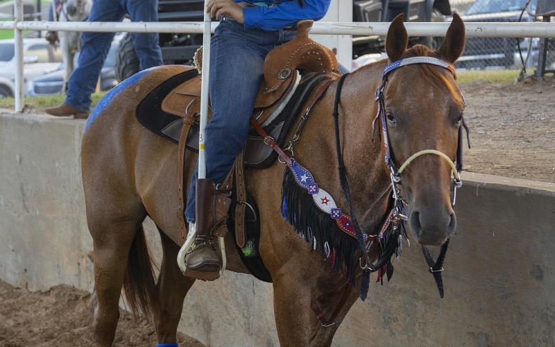 HUGH SCOTT JR. | SOUTHWEST CHRONICLE