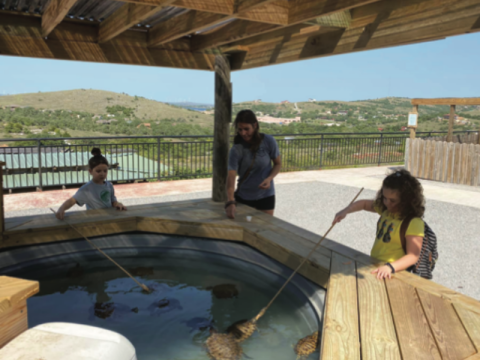 Medicine Park Aquarium & Natural Sciences Center