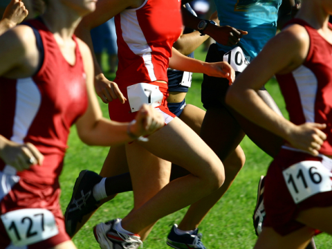 Cross Country 