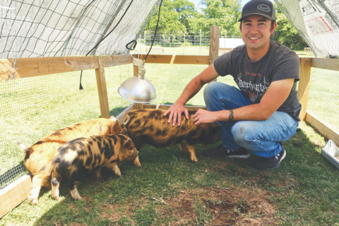 "Hoggy Parton" soaks up a bit of attention as Ray Pierce, owner of Pierce pastured-raised farm. Farms, squats down to pet the newest addition to his growing pastured-raised farm.