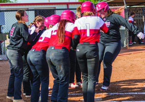 Photo by Rick Endicott HOME RUN - Elgin Lady Owls celebrate a home - run during the Fletcher tournament on Apr. 15.