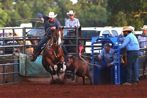 A calf-roper competes at the Chickasha Open Rodeo June 24-25 at the Grady County Fairgrounds. Rafter D Rodeo livestock have been used at the biggest rodeos in the U.S. and Canada. HUGH SCOTT/PHOTO PROVIDED 